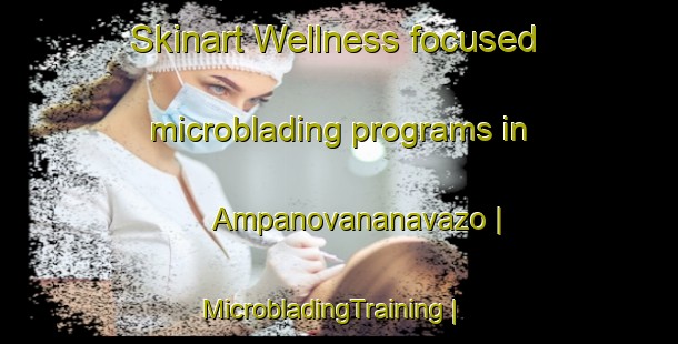 Skinart Wellness-focused microblading programs in Ampanovananavazo | MicrobladingTraining | MicrobladingClasses | SkinartTraining-Madagascar